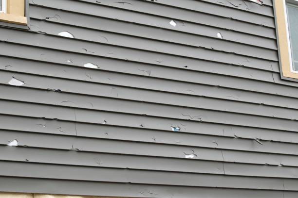 How To Choose The Right Materials for Your Siding Installation in 'Fallbrook, CA